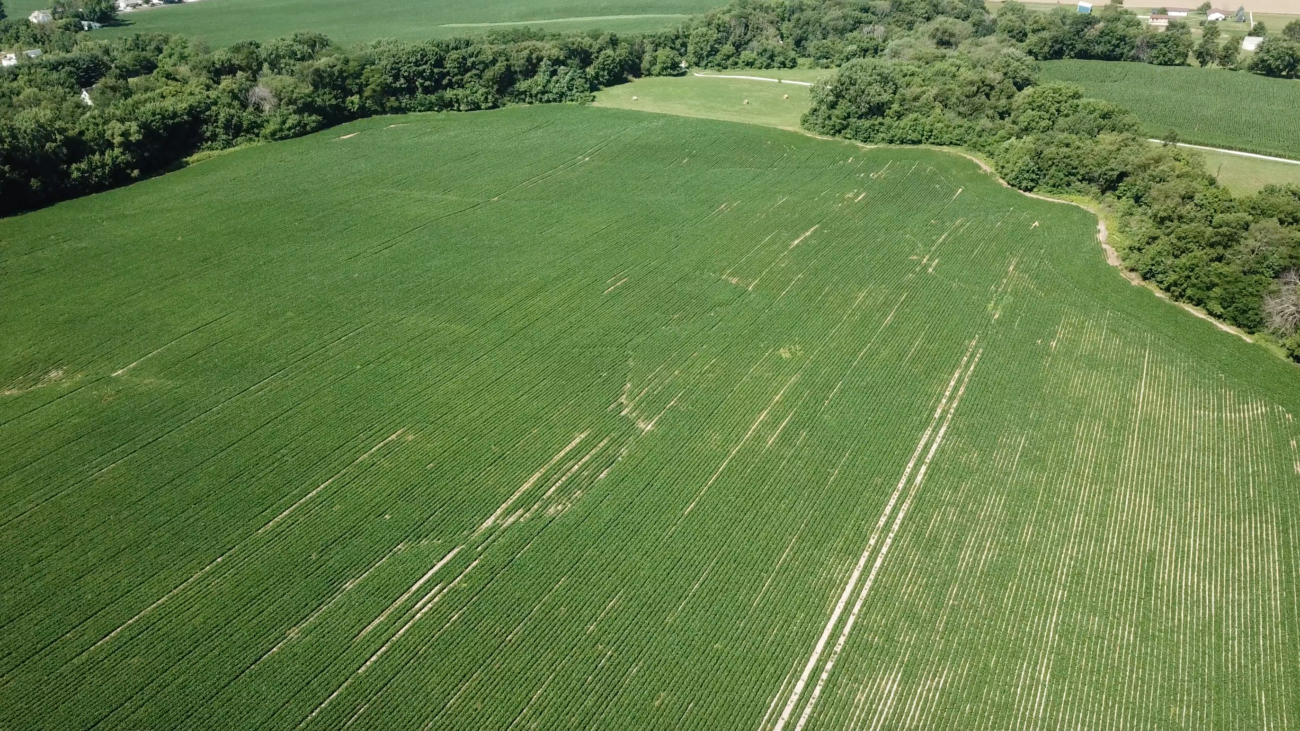 36 ACRES PEORIA COUNTY Illinois Farm & Rec LandIllinois Farm & Rec Land