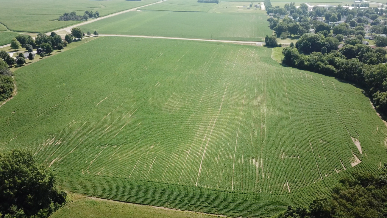 36 ACRES PEORIA COUNTY Illinois Farm & Rec LandIllinois Farm & Rec Land