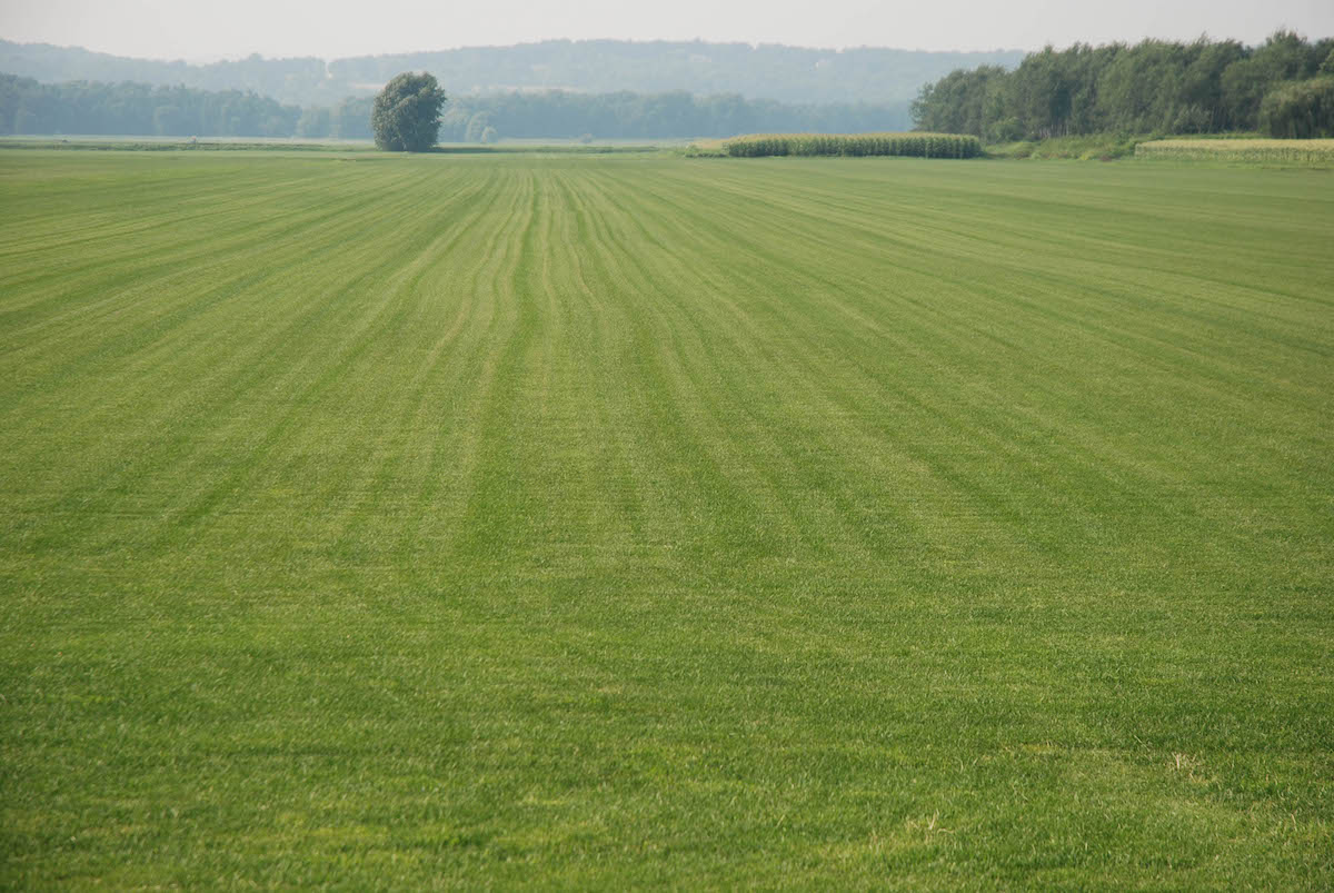 How to Create Income from your Raw Land