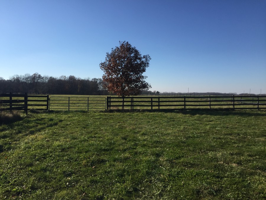 IMG_7860 Illinois Farm & Rec Land