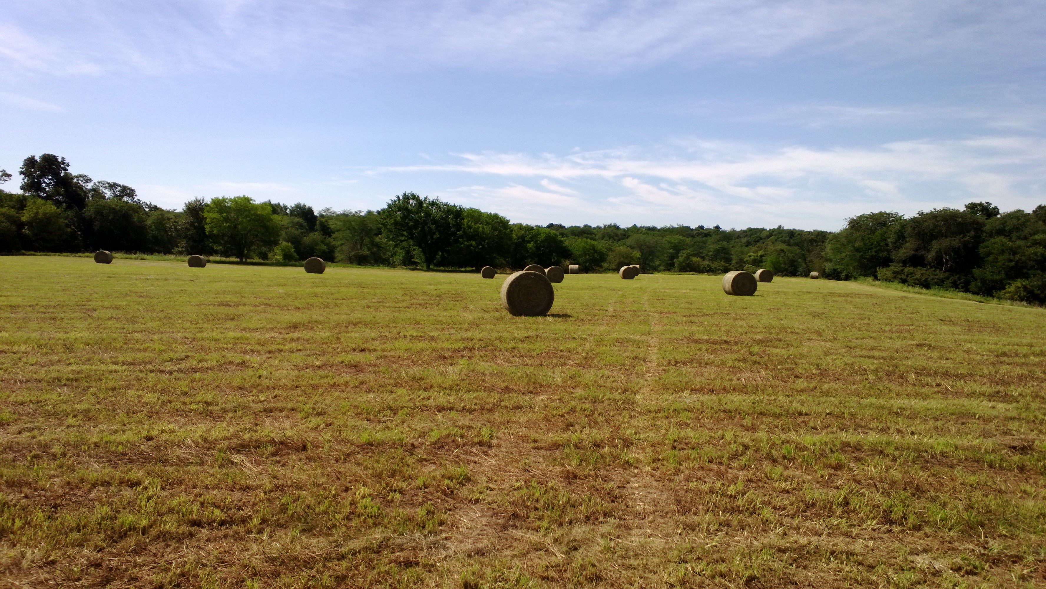 WP_20150801_001[1] Illinois Farm & Rec Land