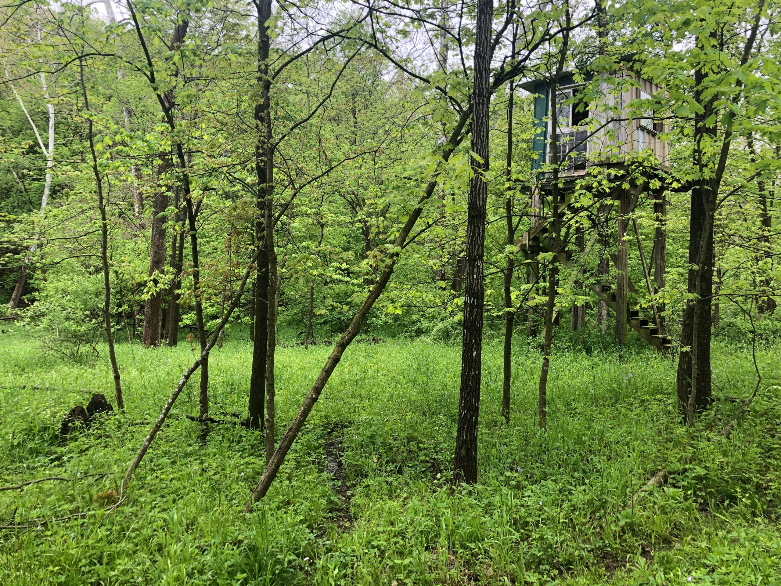 IMG_1295 Illinois Farm & Rec Land