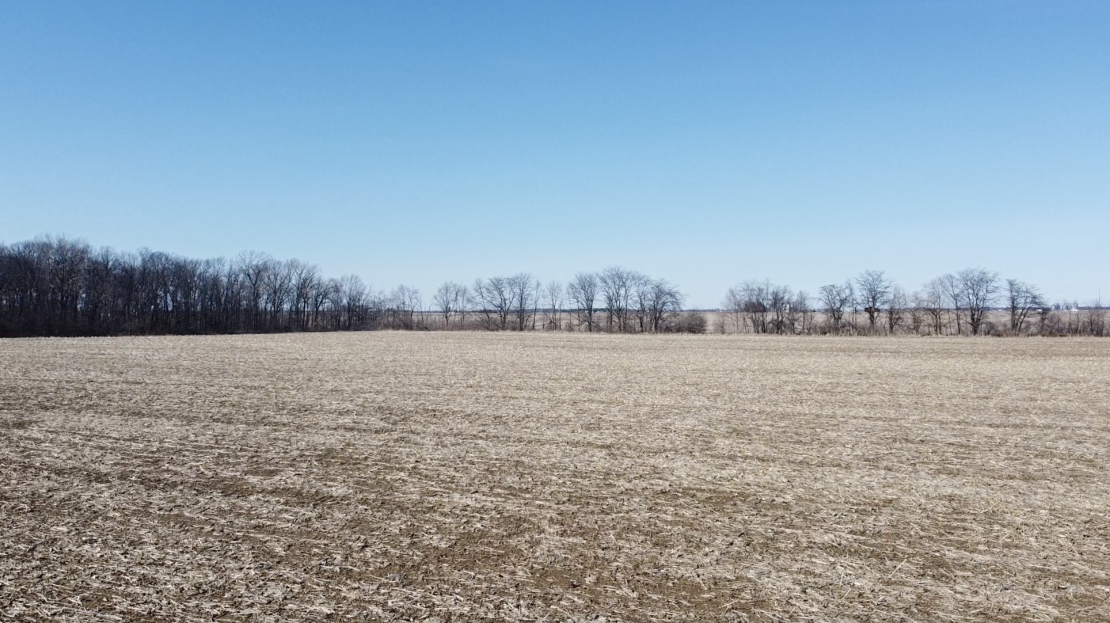 video image